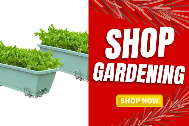 Shop gardening essentials at Rivers - Planters and tools for your outdoor projects